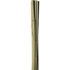 HOME IT GARDEN BAMBUSPINDE 150 CM