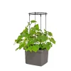 PINDSTRUP TIL SELVVANDENDE PLANTEKASSE ESPALIER SORT